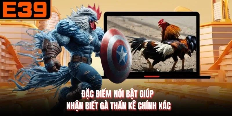 Đặc điểm nổi bật giúp nhận biết gà thần kê chính xác