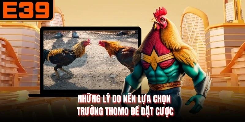 Những lý do nên lựa chọn trường Thomo để đặt cược