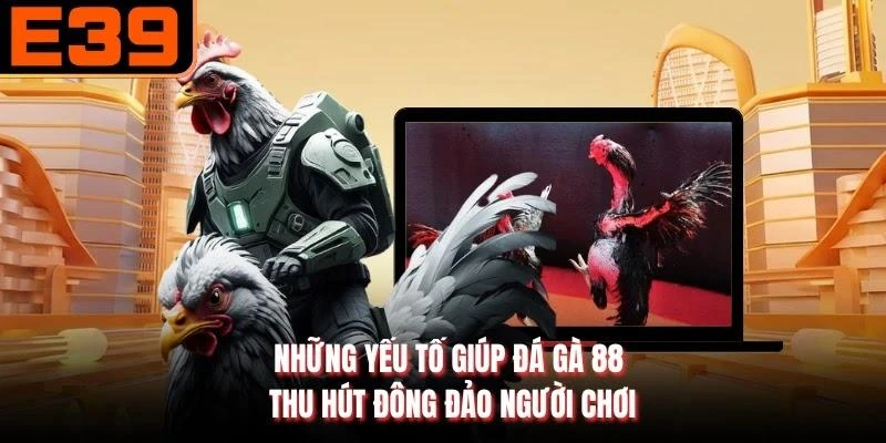 Những yếu tố giúp đá gà 88 thu hút đông đảo người chơi